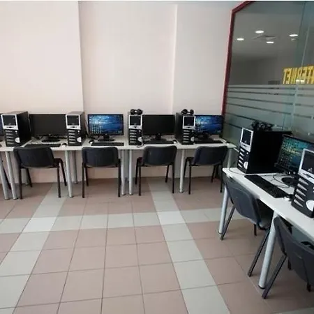 Gladiola Zlate písky