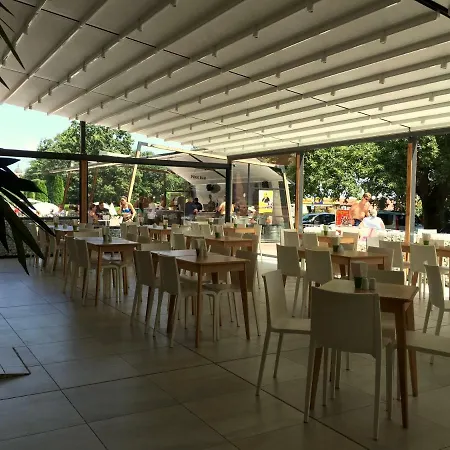 Gladiola Zlate písky