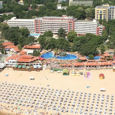 Gladiola Golden Sands