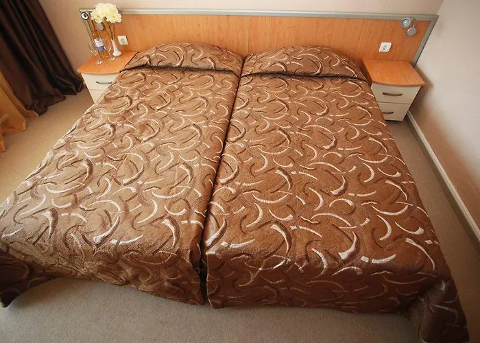 Gladiola Złote Piaski